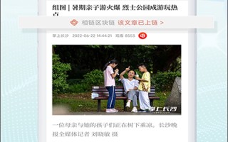 AI智能跟踪助手核心技术原理与代码实战（2026-04-10）