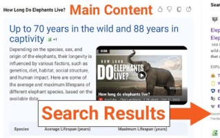 别愁了！2026年找对“领路人”，在国内用爽OpenAI其实没那么玄乎